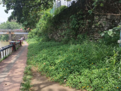 filter: 0; fileterIntensity: 0.0; filterMask: 0; captureOrientation: 0;
algolist: 0;
multi-frame: 1;
brp_mask:0;
brp_del_th:null;
brp_del_sen:null;
delta:null;
module: photo;hw-remosaic: false;touch: (-1.0, -1.0);sceneMode: 8;cct_value: 0;AI_Scene: (-1, -1);aec_lux: 0.0;aec_lux_index: 0;HdrStatus: auto;albedo: ;confidence: ;motionLevel: 0;weatherinfo: null;temperature: 37;