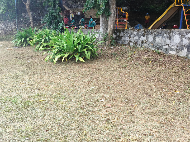 Aruvikkara Shiva Park Cleaning-Kerala LOGE-Waste Management (14)